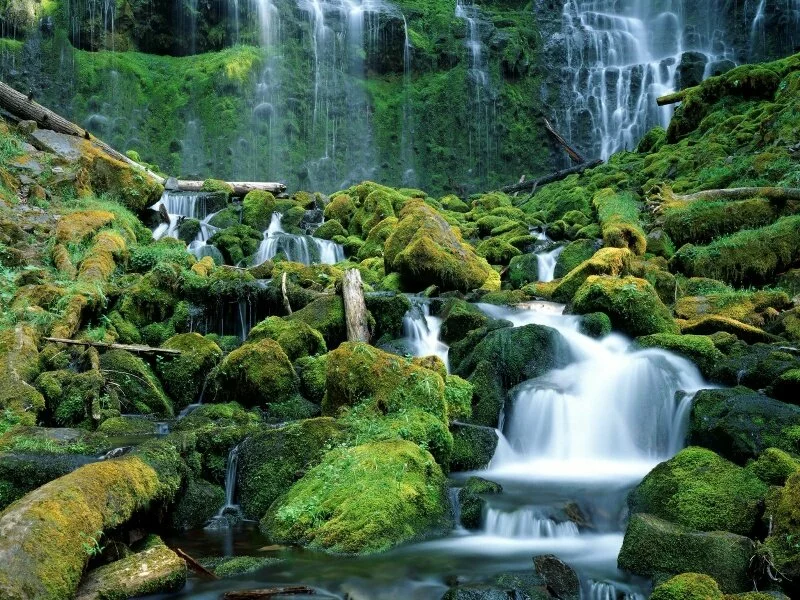 Proxy Falls, Cascade Range, Oregon -  -.jpg