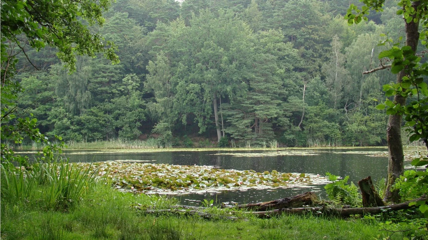 Rain on the lake by Kim