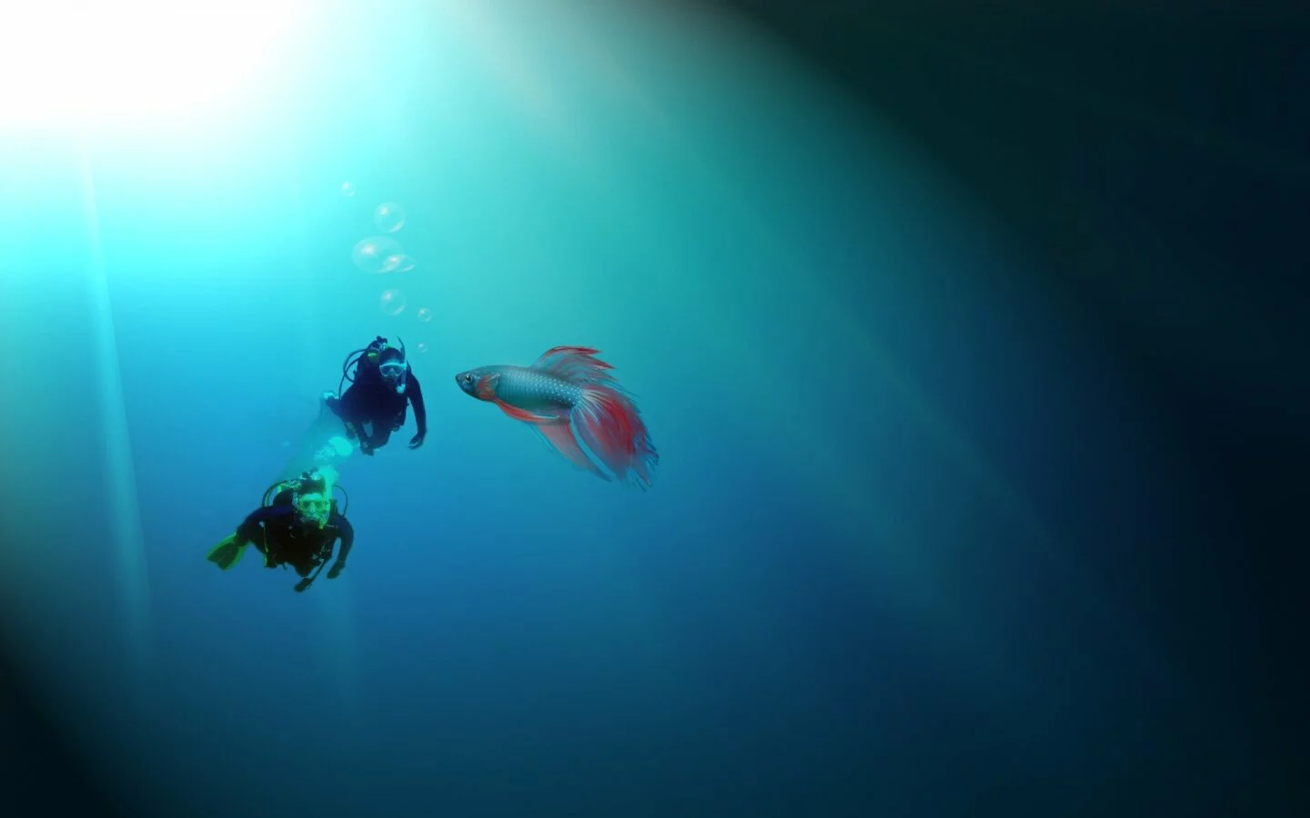 Scubadivers and a small fish