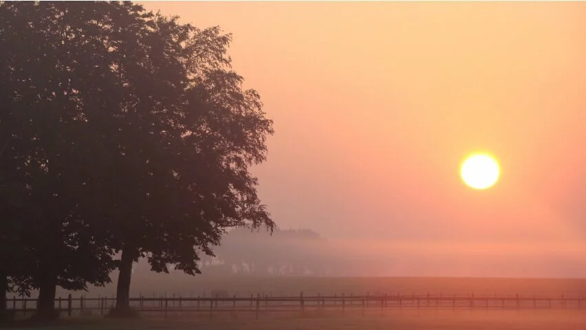 The sun very foggy morning 1080p