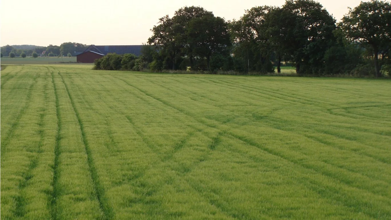 Very early morning shot 1080p+