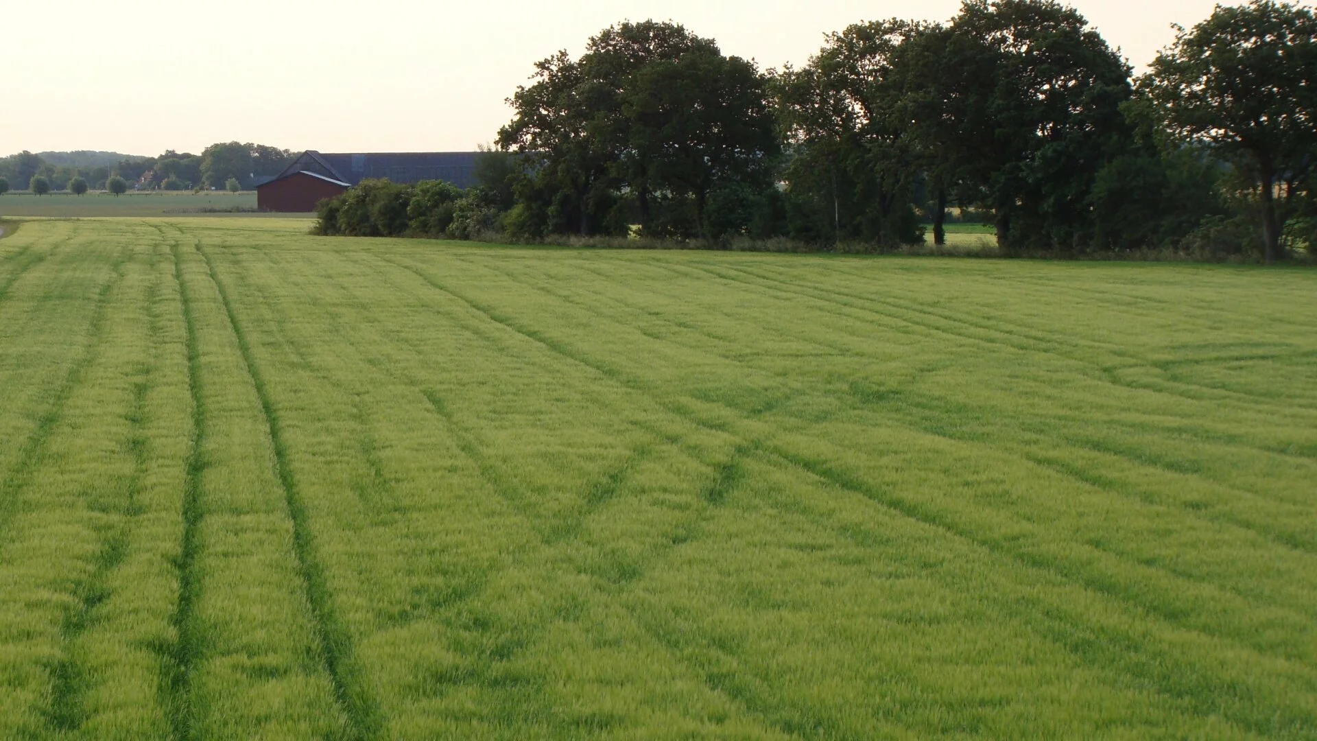Very early morning shot 1080p+
