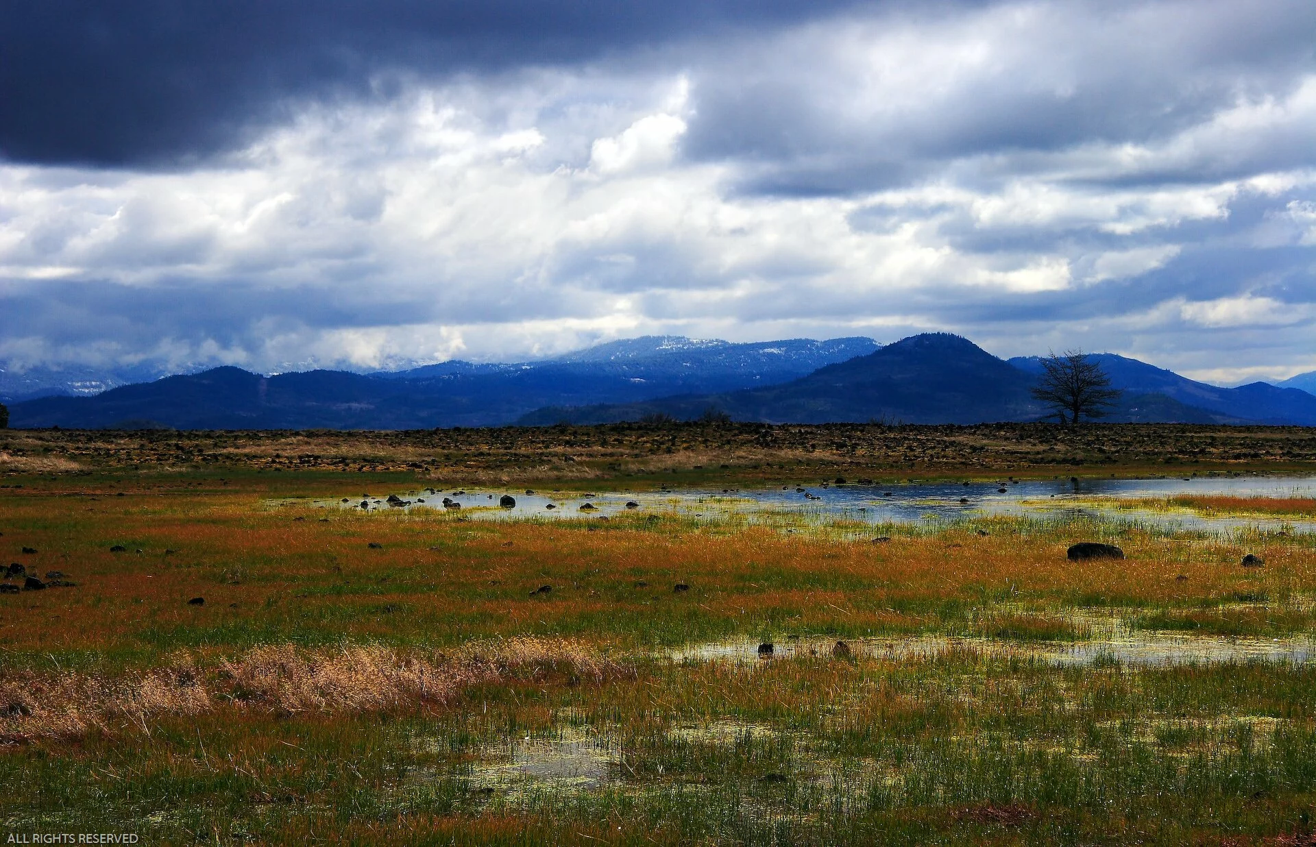 Windows_Vista_Wallpapers_-19.jpg