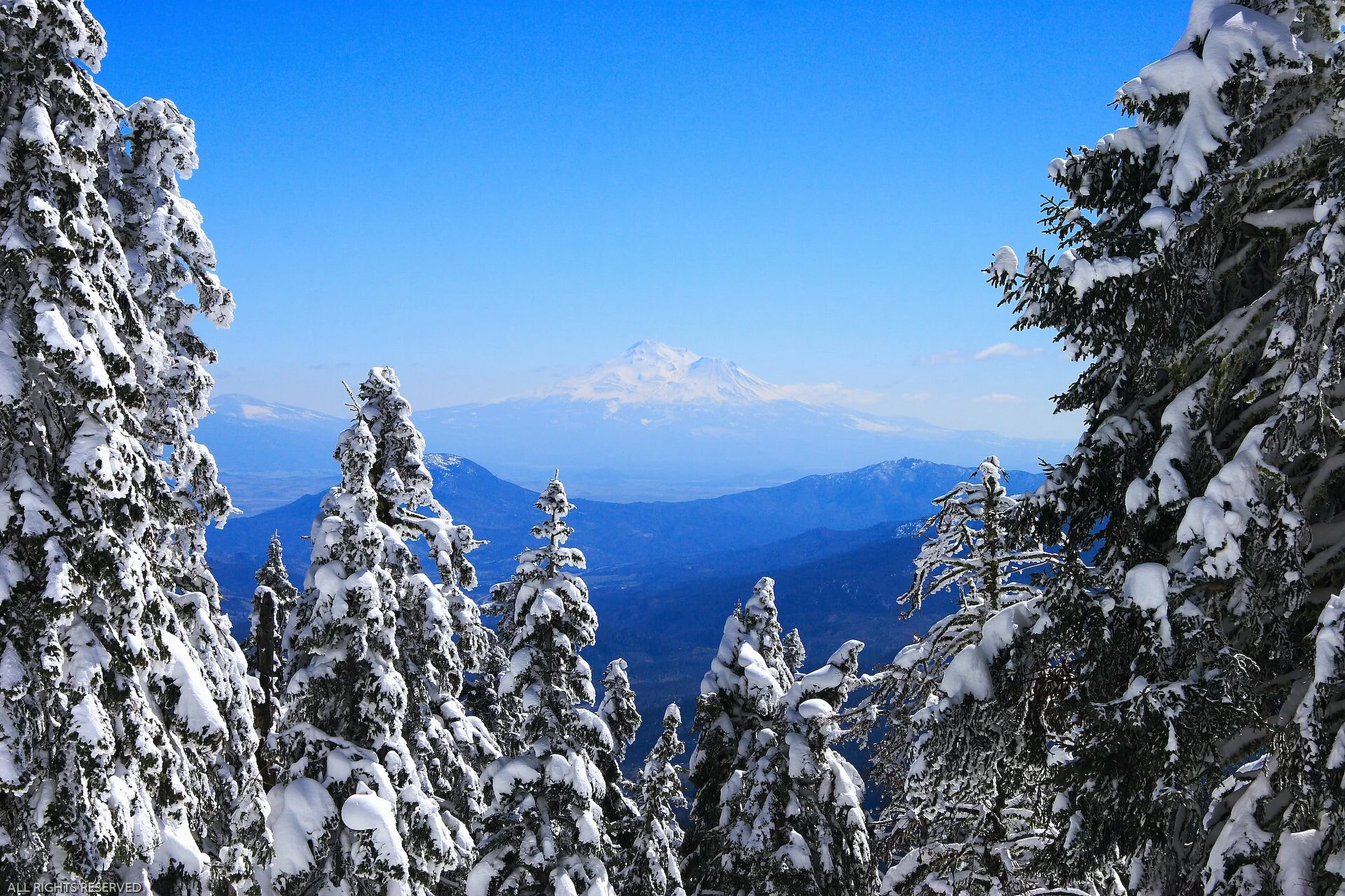 Windows_Vista_Wallpapers_-21.jpg